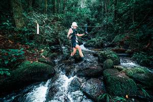 BIB: 
                            <button type="button" onclick="openModal(25245886)" class="btn btn-primary btn-sm float-right btn-popup" data-toggle="modal" data-target=".modal-high-quality">
                        <i class="fas fa-shopping-cart"></i> Add to Cart
                    </button>
                                            <button type="button" onclick="isThisMe(25245886, true)" class="btn btn-success btn-sm float-right btn-popup btn-isme hidden" data-toggle="tooltip" data-placement="bottom" title="นี่คือรูปของคุณใช่ไหม คลิกที่นี่เพื่อเอาเข้าอัลบั้ม">
                        <i class="fas fa-plus"></i> Add to album
                    </button>
                    <button type="button" onclick="isThisMe(25245886, false)" class="btn btn-warning btn-sm float-right btn-popup btn-isnotme hidden">
                        <i class="fas fa-ban"></i> Remove from album
                    </button>