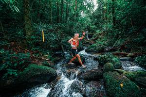 BIB: 
                            <button type="button" onclick="openModal(25244803)" class="btn btn-primary btn-sm float-right btn-popup" data-toggle="modal" data-target=".modal-high-quality">
                        <i class="fas fa-shopping-cart"></i> Add to Cart
                    </button>
                                            <button type="button" onclick="isThisMe(25244803, true)" class="btn btn-success btn-sm float-right btn-popup btn-isme hidden" data-toggle="tooltip" data-placement="bottom" title="นี่คือรูปของคุณใช่ไหม คลิกที่นี่เพื่อเอาเข้าอัลบั้ม">
                        <i class="fas fa-plus"></i> Add to album
                    </button>
                    <button type="button" onclick="isThisMe(25244803, false)" class="btn btn-warning btn-sm float-right btn-popup btn-isnotme hidden">
                        <i class="fas fa-ban"></i> Remove from album
                    </button>