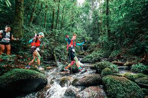 BIB: 
                            <button type="button" onclick="openModal(25245287)" class="btn btn-primary btn-sm float-right btn-popup" data-toggle="modal" data-target=".modal-high-quality">
                        <i class="fas fa-shopping-cart"></i> Add to Cart
                    </button>
                                            <button type="button" onclick="isThisMe(25245287, true)" class="btn btn-success btn-sm float-right btn-popup btn-isme hidden" data-toggle="tooltip" data-placement="bottom" title="นี่คือรูปของคุณใช่ไหม คลิกที่นี่เพื่อเอาเข้าอัลบั้ม">
                        <i class="fas fa-plus"></i> Add to album
                    </button>
                    <button type="button" onclick="isThisMe(25245287, false)" class="btn btn-warning btn-sm float-right btn-popup btn-isnotme hidden">
                        <i class="fas fa-ban"></i> Remove from album
                    </button>