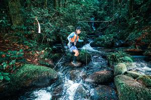 BIB: 
                            <button type="button" onclick="openModal(25247386)" class="btn btn-primary btn-sm float-right btn-popup" data-toggle="modal" data-target=".modal-high-quality">
                        <i class="fas fa-shopping-cart"></i> Add to Cart
                    </button>
                                            <button type="button" onclick="isThisMe(25247386, true)" class="btn btn-success btn-sm float-right btn-popup btn-isme hidden" data-toggle="tooltip" data-placement="bottom" title="นี่คือรูปของคุณใช่ไหม คลิกที่นี่เพื่อเอาเข้าอัลบั้ม">
                        <i class="fas fa-plus"></i> Add to album
                    </button>
                    <button type="button" onclick="isThisMe(25247386, false)" class="btn btn-warning btn-sm float-right btn-popup btn-isnotme hidden">
                        <i class="fas fa-ban"></i> Remove from album
                    </button>