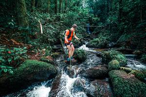 BIB: 
                            <button type="button" onclick="openModal(25246482)" class="btn btn-primary btn-sm float-right btn-popup" data-toggle="modal" data-target=".modal-high-quality">
                        <i class="fas fa-shopping-cart"></i> Add to Cart
                    </button>
                                            <button type="button" onclick="isThisMe(25246482, true)" class="btn btn-success btn-sm float-right btn-popup btn-isme hidden" data-toggle="tooltip" data-placement="bottom" title="นี่คือรูปของคุณใช่ไหม คลิกที่นี่เพื่อเอาเข้าอัลบั้ม">
                        <i class="fas fa-plus"></i> Add to album
                    </button>
                    <button type="button" onclick="isThisMe(25246482, false)" class="btn btn-warning btn-sm float-right btn-popup btn-isnotme hidden">
                        <i class="fas fa-ban"></i> Remove from album
                    </button>