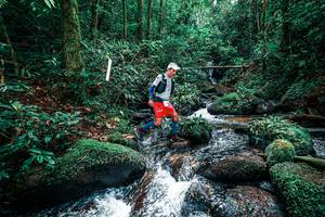 BIB: 
                            <button type="button" onclick="openModal(25245031)" class="btn btn-primary btn-sm float-right btn-popup" data-toggle="modal" data-target=".modal-high-quality">
                        <i class="fas fa-shopping-cart"></i> Add to Cart
                    </button>
                                            <button type="button" onclick="isThisMe(25245031, true)" class="btn btn-success btn-sm float-right btn-popup btn-isme hidden" data-toggle="tooltip" data-placement="bottom" title="นี่คือรูปของคุณใช่ไหม คลิกที่นี่เพื่อเอาเข้าอัลบั้ม">
                        <i class="fas fa-plus"></i> Add to album
                    </button>
                    <button type="button" onclick="isThisMe(25245031, false)" class="btn btn-warning btn-sm float-right btn-popup btn-isnotme hidden">
                        <i class="fas fa-ban"></i> Remove from album
                    </button>