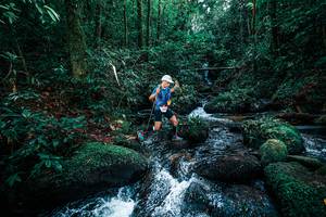 BIB: 
                            <button type="button" onclick="openModal(25244941)" class="btn btn-primary btn-sm float-right btn-popup" data-toggle="modal" data-target=".modal-high-quality">
                        <i class="fas fa-shopping-cart"></i> Add to Cart
                    </button>
                                            <button type="button" onclick="isThisMe(25244941, true)" class="btn btn-success btn-sm float-right btn-popup btn-isme hidden" data-toggle="tooltip" data-placement="bottom" title="นี่คือรูปของคุณใช่ไหม คลิกที่นี่เพื่อเอาเข้าอัลบั้ม">
                        <i class="fas fa-plus"></i> Add to album
                    </button>
                    <button type="button" onclick="isThisMe(25244941, false)" class="btn btn-warning btn-sm float-right btn-popup btn-isnotme hidden">
                        <i class="fas fa-ban"></i> Remove from album
                    </button>