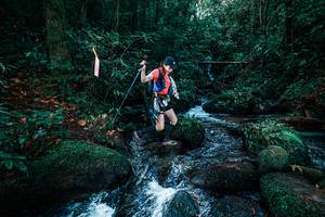 BIB: 
                            <button type="button" onclick="openModal(25246979)" class="btn btn-primary btn-sm float-right btn-popup" data-toggle="modal" data-target=".modal-high-quality">
                        <i class="fas fa-shopping-cart"></i> Add to Cart
                    </button>
                                            <button type="button" onclick="isThisMe(25246979, true)" class="btn btn-success btn-sm float-right btn-popup btn-isme hidden" data-toggle="tooltip" data-placement="bottom" title="นี่คือรูปของคุณใช่ไหม คลิกที่นี่เพื่อเอาเข้าอัลบั้ม">
                        <i class="fas fa-plus"></i> Add to album
                    </button>
                    <button type="button" onclick="isThisMe(25246979, false)" class="btn btn-warning btn-sm float-right btn-popup btn-isnotme hidden">
                        <i class="fas fa-ban"></i> Remove from album
                    </button>