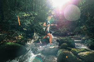 BIB: 
                            <button type="button" onclick="openModal(25244626)" class="btn btn-primary btn-sm float-right btn-popup" data-toggle="modal" data-target=".modal-high-quality">
                        <i class="fas fa-shopping-cart"></i> Add to Cart
                    </button>
                                            <button type="button" onclick="isThisMe(25244626, true)" class="btn btn-success btn-sm float-right btn-popup btn-isme hidden" data-toggle="tooltip" data-placement="bottom" title="นี่คือรูปของคุณใช่ไหม คลิกที่นี่เพื่อเอาเข้าอัลบั้ม">
                        <i class="fas fa-plus"></i> Add to album
                    </button>
                    <button type="button" onclick="isThisMe(25244626, false)" class="btn btn-warning btn-sm float-right btn-popup btn-isnotme hidden">
                        <i class="fas fa-ban"></i> Remove from album
                    </button>