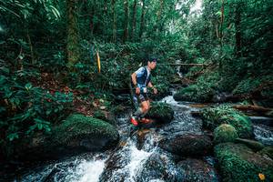 BIB: 
                            <button type="button" onclick="openModal(25244819)" class="btn btn-primary btn-sm float-right btn-popup" data-toggle="modal" data-target=".modal-high-quality">
                        <i class="fas fa-shopping-cart"></i> Add to Cart
                    </button>
                                            <button type="button" onclick="isThisMe(25244819, true)" class="btn btn-success btn-sm float-right btn-popup btn-isme hidden" data-toggle="tooltip" data-placement="bottom" title="นี่คือรูปของคุณใช่ไหม คลิกที่นี่เพื่อเอาเข้าอัลบั้ม">
                        <i class="fas fa-plus"></i> Add to album
                    </button>
                    <button type="button" onclick="isThisMe(25244819, false)" class="btn btn-warning btn-sm float-right btn-popup btn-isnotme hidden">
                        <i class="fas fa-ban"></i> Remove from album
                    </button>