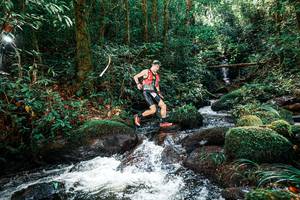 BIB: 
                            <button type="button" onclick="openModal(25244215)" class="btn btn-primary btn-sm float-right btn-popup" data-toggle="modal" data-target=".modal-high-quality">
                        <i class="fas fa-shopping-cart"></i> Add to Cart
                    </button>
                                            <button type="button" onclick="isThisMe(25244215, true)" class="btn btn-success btn-sm float-right btn-popup btn-isme hidden" data-toggle="tooltip" data-placement="bottom" title="นี่คือรูปของคุณใช่ไหม คลิกที่นี่เพื่อเอาเข้าอัลบั้ม">
                        <i class="fas fa-plus"></i> Add to album
                    </button>
                    <button type="button" onclick="isThisMe(25244215, false)" class="btn btn-warning btn-sm float-right btn-popup btn-isnotme hidden">
                        <i class="fas fa-ban"></i> Remove from album
                    </button>