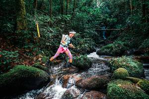 BIB: 
                            <button type="button" onclick="openModal(25244420)" class="btn btn-primary btn-sm float-right btn-popup" data-toggle="modal" data-target=".modal-high-quality">
                        <i class="fas fa-shopping-cart"></i> Add to Cart
                    </button>
                                            <button type="button" onclick="isThisMe(25244420, true)" class="btn btn-success btn-sm float-right btn-popup btn-isme hidden" data-toggle="tooltip" data-placement="bottom" title="นี่คือรูปของคุณใช่ไหม คลิกที่นี่เพื่อเอาเข้าอัลบั้ม">
                        <i class="fas fa-plus"></i> Add to album
                    </button>
                    <button type="button" onclick="isThisMe(25244420, false)" class="btn btn-warning btn-sm float-right btn-popup btn-isnotme hidden">
                        <i class="fas fa-ban"></i> Remove from album
                    </button>