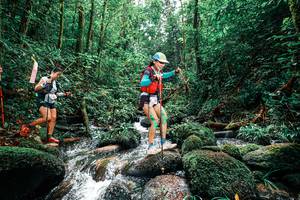 BIB: 
                            <button type="button" onclick="openModal(25245295)" class="btn btn-primary btn-sm float-right btn-popup" data-toggle="modal" data-target=".modal-high-quality">
                        <i class="fas fa-shopping-cart"></i> Add to Cart
                    </button>
                                            <button type="button" onclick="isThisMe(25245295, true)" class="btn btn-success btn-sm float-right btn-popup btn-isme hidden" data-toggle="tooltip" data-placement="bottom" title="นี่คือรูปของคุณใช่ไหม คลิกที่นี่เพื่อเอาเข้าอัลบั้ม">
                        <i class="fas fa-plus"></i> Add to album
                    </button>
                    <button type="button" onclick="isThisMe(25245295, false)" class="btn btn-warning btn-sm float-right btn-popup btn-isnotme hidden">
                        <i class="fas fa-ban"></i> Remove from album
                    </button>