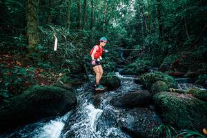 BIB: 
                            <button type="button" onclick="openModal(25245864)" class="btn btn-primary btn-sm float-right btn-popup" data-toggle="modal" data-target=".modal-high-quality">
                        <i class="fas fa-shopping-cart"></i> Add to Cart
                    </button>
                                            <button type="button" onclick="isThisMe(25245864, true)" class="btn btn-success btn-sm float-right btn-popup btn-isme hidden" data-toggle="tooltip" data-placement="bottom" title="นี่คือรูปของคุณใช่ไหม คลิกที่นี่เพื่อเอาเข้าอัลบั้ม">
                        <i class="fas fa-plus"></i> Add to album
                    </button>
                    <button type="button" onclick="isThisMe(25245864, false)" class="btn btn-warning btn-sm float-right btn-popup btn-isnotme hidden">
                        <i class="fas fa-ban"></i> Remove from album
                    </button>