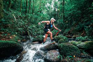 BIB: 
                            <button type="button" onclick="openModal(25245163)" class="btn btn-primary btn-sm float-right btn-popup" data-toggle="modal" data-target=".modal-high-quality">
                        <i class="fas fa-shopping-cart"></i> Add to Cart
                    </button>
                                            <button type="button" onclick="isThisMe(25245163, true)" class="btn btn-success btn-sm float-right btn-popup btn-isme hidden" data-toggle="tooltip" data-placement="bottom" title="นี่คือรูปของคุณใช่ไหม คลิกที่นี่เพื่อเอาเข้าอัลบั้ม">
                        <i class="fas fa-plus"></i> Add to album
                    </button>
                    <button type="button" onclick="isThisMe(25245163, false)" class="btn btn-warning btn-sm float-right btn-popup btn-isnotme hidden">
                        <i class="fas fa-ban"></i> Remove from album
                    </button>