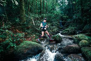 BIB: 
                            <button type="button" onclick="openModal(25246466)" class="btn btn-primary btn-sm float-right btn-popup" data-toggle="modal" data-target=".modal-high-quality">
                        <i class="fas fa-shopping-cart"></i> Add to Cart
                    </button>
                                            <button type="button" onclick="isThisMe(25246466, true)" class="btn btn-success btn-sm float-right btn-popup btn-isme hidden" data-toggle="tooltip" data-placement="bottom" title="นี่คือรูปของคุณใช่ไหม คลิกที่นี่เพื่อเอาเข้าอัลบั้ม">
                        <i class="fas fa-plus"></i> Add to album
                    </button>
                    <button type="button" onclick="isThisMe(25246466, false)" class="btn btn-warning btn-sm float-right btn-popup btn-isnotme hidden">
                        <i class="fas fa-ban"></i> Remove from album
                    </button>