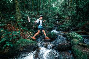 BIB: 
                            <button type="button" onclick="openModal(25246081)" class="btn btn-primary btn-sm float-right btn-popup" data-toggle="modal" data-target=".modal-high-quality">
                        <i class="fas fa-shopping-cart"></i> Add to Cart
                    </button>
                                            <button type="button" onclick="isThisMe(25246081, true)" class="btn btn-success btn-sm float-right btn-popup btn-isme hidden" data-toggle="tooltip" data-placement="bottom" title="นี่คือรูปของคุณใช่ไหม คลิกที่นี่เพื่อเอาเข้าอัลบั้ม">
                        <i class="fas fa-plus"></i> Add to album
                    </button>
                    <button type="button" onclick="isThisMe(25246081, false)" class="btn btn-warning btn-sm float-right btn-popup btn-isnotme hidden">
                        <i class="fas fa-ban"></i> Remove from album
                    </button>