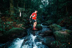 BIB: 
                            <button type="button" onclick="openModal(25247607)" class="btn btn-primary btn-sm float-right btn-popup" data-toggle="modal" data-target=".modal-high-quality">
                        <i class="fas fa-shopping-cart"></i> Add to Cart
                    </button>
                                            <button type="button" onclick="isThisMe(25247607, true)" class="btn btn-success btn-sm float-right btn-popup btn-isme hidden" data-toggle="tooltip" data-placement="bottom" title="นี่คือรูปของคุณใช่ไหม คลิกที่นี่เพื่อเอาเข้าอัลบั้ม">
                        <i class="fas fa-plus"></i> Add to album
                    </button>
                    <button type="button" onclick="isThisMe(25247607, false)" class="btn btn-warning btn-sm float-right btn-popup btn-isnotme hidden">
                        <i class="fas fa-ban"></i> Remove from album
                    </button>