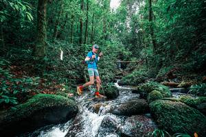 BIB: 
                            <button type="button" onclick="openModal(25245183)" class="btn btn-primary btn-sm float-right btn-popup" data-toggle="modal" data-target=".modal-high-quality">
                        <i class="fas fa-shopping-cart"></i> Add to Cart
                    </button>
                                            <button type="button" onclick="isThisMe(25245183, true)" class="btn btn-success btn-sm float-right btn-popup btn-isme hidden" data-toggle="tooltip" data-placement="bottom" title="นี่คือรูปของคุณใช่ไหม คลิกที่นี่เพื่อเอาเข้าอัลบั้ม">
                        <i class="fas fa-plus"></i> Add to album
                    </button>
                    <button type="button" onclick="isThisMe(25245183, false)" class="btn btn-warning btn-sm float-right btn-popup btn-isnotme hidden">
                        <i class="fas fa-ban"></i> Remove from album
                    </button>