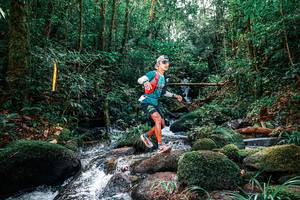 BIB: 
                            <button type="button" onclick="openModal(25244335)" class="btn btn-primary btn-sm float-right btn-popup" data-toggle="modal" data-target=".modal-high-quality">
                        <i class="fas fa-shopping-cart"></i> Add to Cart
                    </button>
                                            <button type="button" onclick="isThisMe(25244335, true)" class="btn btn-success btn-sm float-right btn-popup btn-isme hidden" data-toggle="tooltip" data-placement="bottom" title="นี่คือรูปของคุณใช่ไหม คลิกที่นี่เพื่อเอาเข้าอัลบั้ม">
                        <i class="fas fa-plus"></i> Add to album
                    </button>
                    <button type="button" onclick="isThisMe(25244335, false)" class="btn btn-warning btn-sm float-right btn-popup btn-isnotme hidden">
                        <i class="fas fa-ban"></i> Remove from album
                    </button>