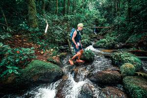 BIB: 
                            <button type="button" onclick="openModal(25246878)" class="btn btn-primary btn-sm float-right btn-popup" data-toggle="modal" data-target=".modal-high-quality">
                        <i class="fas fa-shopping-cart"></i> Add to Cart
                    </button>
                                            <button type="button" onclick="isThisMe(25246878, true)" class="btn btn-success btn-sm float-right btn-popup btn-isme hidden" data-toggle="tooltip" data-placement="bottom" title="นี่คือรูปของคุณใช่ไหม คลิกที่นี่เพื่อเอาเข้าอัลบั้ม">
                        <i class="fas fa-plus"></i> Add to album
                    </button>
                    <button type="button" onclick="isThisMe(25246878, false)" class="btn btn-warning btn-sm float-right btn-popup btn-isnotme hidden">
                        <i class="fas fa-ban"></i> Remove from album
                    </button>