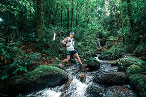 BIB: 
                            <button type="button" onclick="openModal(25245235)" class="btn btn-primary btn-sm float-right btn-popup" data-toggle="modal" data-target=".modal-high-quality">
                        <i class="fas fa-shopping-cart"></i> Add to Cart
                    </button>
                                            <button type="button" onclick="isThisMe(25245235, true)" class="btn btn-success btn-sm float-right btn-popup btn-isme hidden" data-toggle="tooltip" data-placement="bottom" title="นี่คือรูปของคุณใช่ไหม คลิกที่นี่เพื่อเอาเข้าอัลบั้ม">
                        <i class="fas fa-plus"></i> Add to album
                    </button>
                    <button type="button" onclick="isThisMe(25245235, false)" class="btn btn-warning btn-sm float-right btn-popup btn-isnotme hidden">
                        <i class="fas fa-ban"></i> Remove from album
                    </button>