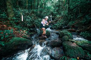 BIB: 
                            <button type="button" onclick="openModal(25246069)" class="btn btn-primary btn-sm float-right btn-popup" data-toggle="modal" data-target=".modal-high-quality">
                        <i class="fas fa-shopping-cart"></i> Add to Cart
                    </button>
                                            <button type="button" onclick="isThisMe(25246069, true)" class="btn btn-success btn-sm float-right btn-popup btn-isme hidden" data-toggle="tooltip" data-placement="bottom" title="นี่คือรูปของคุณใช่ไหม คลิกที่นี่เพื่อเอาเข้าอัลบั้ม">
                        <i class="fas fa-plus"></i> Add to album
                    </button>
                    <button type="button" onclick="isThisMe(25246069, false)" class="btn btn-warning btn-sm float-right btn-popup btn-isnotme hidden">
                        <i class="fas fa-ban"></i> Remove from album
                    </button>