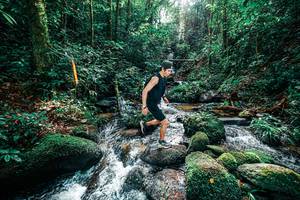 BIB: 
                            <button type="button" onclick="openModal(25244767)" class="btn btn-primary btn-sm float-right btn-popup" data-toggle="modal" data-target=".modal-high-quality">
                        <i class="fas fa-shopping-cart"></i> Add to Cart
                    </button>
                                            <button type="button" onclick="isThisMe(25244767, true)" class="btn btn-success btn-sm float-right btn-popup btn-isme hidden" data-toggle="tooltip" data-placement="bottom" title="นี่คือรูปของคุณใช่ไหม คลิกที่นี่เพื่อเอาเข้าอัลบั้ม">
                        <i class="fas fa-plus"></i> Add to album
                    </button>
                    <button type="button" onclick="isThisMe(25244767, false)" class="btn btn-warning btn-sm float-right btn-popup btn-isnotme hidden">
                        <i class="fas fa-ban"></i> Remove from album
                    </button>