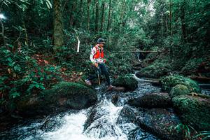 BIB: 
                            <button type="button" onclick="openModal(25246037)" class="btn btn-primary btn-sm float-right btn-popup" data-toggle="modal" data-target=".modal-high-quality">
                        <i class="fas fa-shopping-cart"></i> Add to Cart
                    </button>
                                            <button type="button" onclick="isThisMe(25246037, true)" class="btn btn-success btn-sm float-right btn-popup btn-isme hidden" data-toggle="tooltip" data-placement="bottom" title="นี่คือรูปของคุณใช่ไหม คลิกที่นี่เพื่อเอาเข้าอัลบั้ม">
                        <i class="fas fa-plus"></i> Add to album
                    </button>
                    <button type="button" onclick="isThisMe(25246037, false)" class="btn btn-warning btn-sm float-right btn-popup btn-isnotme hidden">
                        <i class="fas fa-ban"></i> Remove from album
                    </button>