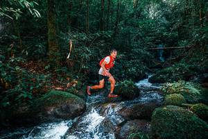 BIB: 
                            <button type="button" onclick="openModal(25244238)" class="btn btn-primary btn-sm float-right btn-popup" data-toggle="modal" data-target=".modal-high-quality">
                        <i class="fas fa-shopping-cart"></i> Add to Cart
                    </button>
                                            <button type="button" onclick="isThisMe(25244238, true)" class="btn btn-success btn-sm float-right btn-popup btn-isme hidden" data-toggle="tooltip" data-placement="bottom" title="นี่คือรูปของคุณใช่ไหม คลิกที่นี่เพื่อเอาเข้าอัลบั้ม">
                        <i class="fas fa-plus"></i> Add to album
                    </button>
                    <button type="button" onclick="isThisMe(25244238, false)" class="btn btn-warning btn-sm float-right btn-popup btn-isnotme hidden">
                        <i class="fas fa-ban"></i> Remove from album
                    </button>