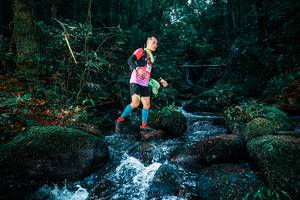 BIB: 
                            <button type="button" onclick="openModal(25247647)" class="btn btn-primary btn-sm float-right btn-popup" data-toggle="modal" data-target=".modal-high-quality">
                        <i class="fas fa-shopping-cart"></i> Add to Cart
                    </button>
                                            <button type="button" onclick="isThisMe(25247647, true)" class="btn btn-success btn-sm float-right btn-popup btn-isme hidden" data-toggle="tooltip" data-placement="bottom" title="นี่คือรูปของคุณใช่ไหม คลิกที่นี่เพื่อเอาเข้าอัลบั้ม">
                        <i class="fas fa-plus"></i> Add to album
                    </button>
                    <button type="button" onclick="isThisMe(25247647, false)" class="btn btn-warning btn-sm float-right btn-popup btn-isnotme hidden">
                        <i class="fas fa-ban"></i> Remove from album
                    </button>