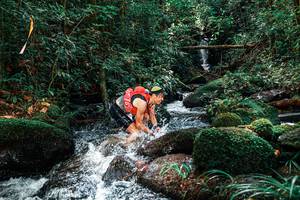 BIB: 
                            <button type="button" onclick="openModal(25244221)" class="btn btn-primary btn-sm float-right btn-popup" data-toggle="modal" data-target=".modal-high-quality">
                        <i class="fas fa-shopping-cart"></i> Add to Cart
                    </button>
                                            <button type="button" onclick="isThisMe(25244221, true)" class="btn btn-success btn-sm float-right btn-popup btn-isme hidden" data-toggle="tooltip" data-placement="bottom" title="นี่คือรูปของคุณใช่ไหม คลิกที่นี่เพื่อเอาเข้าอัลบั้ม">
                        <i class="fas fa-plus"></i> Add to album
                    </button>
                    <button type="button" onclick="isThisMe(25244221, false)" class="btn btn-warning btn-sm float-right btn-popup btn-isnotme hidden">
                        <i class="fas fa-ban"></i> Remove from album
                    </button>