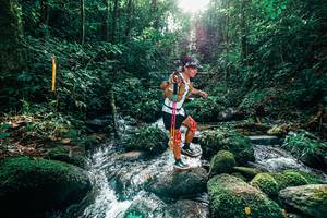 BIB: 
                            <button type="button" onclick="openModal(25244760)" class="btn btn-primary btn-sm float-right btn-popup" data-toggle="modal" data-target=".modal-high-quality">
                        <i class="fas fa-shopping-cart"></i> Add to Cart
                    </button>
                                            <button type="button" onclick="isThisMe(25244760, true)" class="btn btn-success btn-sm float-right btn-popup btn-isme hidden" data-toggle="tooltip" data-placement="bottom" title="นี่คือรูปของคุณใช่ไหม คลิกที่นี่เพื่อเอาเข้าอัลบั้ม">
                        <i class="fas fa-plus"></i> Add to album
                    </button>
                    <button type="button" onclick="isThisMe(25244760, false)" class="btn btn-warning btn-sm float-right btn-popup btn-isnotme hidden">
                        <i class="fas fa-ban"></i> Remove from album
                    </button>