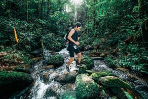 BIB: 
                            <button type="button" onclick="openModal(25244769)" class="btn btn-primary btn-sm float-right btn-popup" data-toggle="modal" data-target=".modal-high-quality">
                        <i class="fas fa-shopping-cart"></i> Add to Cart
                    </button>
                                            <button type="button" onclick="isThisMe(25244769, true)" class="btn btn-success btn-sm float-right btn-popup btn-isme hidden" data-toggle="tooltip" data-placement="bottom" title="นี่คือรูปของคุณใช่ไหม คลิกที่นี่เพื่อเอาเข้าอัลบั้ม">
                        <i class="fas fa-plus"></i> Add to album
                    </button>
                    <button type="button" onclick="isThisMe(25244769, false)" class="btn btn-warning btn-sm float-right btn-popup btn-isnotme hidden">
                        <i class="fas fa-ban"></i> Remove from album
                    </button>