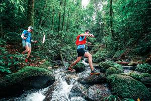 BIB: 
                            <button type="button" onclick="openModal(25245175)" class="btn btn-primary btn-sm float-right btn-popup" data-toggle="modal" data-target=".modal-high-quality">
                        <i class="fas fa-shopping-cart"></i> Add to Cart
                    </button>
                                            <button type="button" onclick="isThisMe(25245175, true)" class="btn btn-success btn-sm float-right btn-popup btn-isme hidden" data-toggle="tooltip" data-placement="bottom" title="นี่คือรูปของคุณใช่ไหม คลิกที่นี่เพื่อเอาเข้าอัลบั้ม">
                        <i class="fas fa-plus"></i> Add to album
                    </button>
                    <button type="button" onclick="isThisMe(25245175, false)" class="btn btn-warning btn-sm float-right btn-popup btn-isnotme hidden">
                        <i class="fas fa-ban"></i> Remove from album
                    </button>