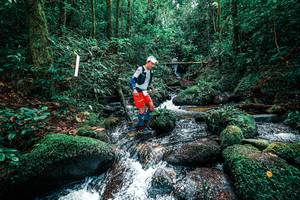 BIB: 
                            <button type="button" onclick="openModal(25245036)" class="btn btn-primary btn-sm float-right btn-popup" data-toggle="modal" data-target=".modal-high-quality">
                        <i class="fas fa-shopping-cart"></i> Add to Cart
                    </button>
                                            <button type="button" onclick="isThisMe(25245036, true)" class="btn btn-success btn-sm float-right btn-popup btn-isme hidden" data-toggle="tooltip" data-placement="bottom" title="นี่คือรูปของคุณใช่ไหม คลิกที่นี่เพื่อเอาเข้าอัลบั้ม">
                        <i class="fas fa-plus"></i> Add to album
                    </button>
                    <button type="button" onclick="isThisMe(25245036, false)" class="btn btn-warning btn-sm float-right btn-popup btn-isnotme hidden">
                        <i class="fas fa-ban"></i> Remove from album
                    </button>