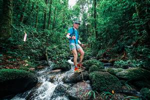 BIB: 
                            <button type="button" onclick="openModal(25245190)" class="btn btn-primary btn-sm float-right btn-popup" data-toggle="modal" data-target=".modal-high-quality">
                        <i class="fas fa-shopping-cart"></i> Add to Cart
                    </button>
                                            <button type="button" onclick="isThisMe(25245190, true)" class="btn btn-success btn-sm float-right btn-popup btn-isme hidden" data-toggle="tooltip" data-placement="bottom" title="นี่คือรูปของคุณใช่ไหม คลิกที่นี่เพื่อเอาเข้าอัลบั้ม">
                        <i class="fas fa-plus"></i> Add to album
                    </button>
                    <button type="button" onclick="isThisMe(25245190, false)" class="btn btn-warning btn-sm float-right btn-popup btn-isnotme hidden">
                        <i class="fas fa-ban"></i> Remove from album
                    </button>