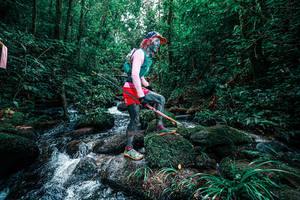 BIB: 
                            <button type="button" onclick="openModal(25245092)" class="btn btn-primary btn-sm float-right btn-popup" data-toggle="modal" data-target=".modal-high-quality">
                        <i class="fas fa-shopping-cart"></i> Add to Cart
                    </button>
                                            <button type="button" onclick="isThisMe(25245092, true)" class="btn btn-success btn-sm float-right btn-popup btn-isme hidden" data-toggle="tooltip" data-placement="bottom" title="นี่คือรูปของคุณใช่ไหม คลิกที่นี่เพื่อเอาเข้าอัลบั้ม">
                        <i class="fas fa-plus"></i> Add to album
                    </button>
                    <button type="button" onclick="isThisMe(25245092, false)" class="btn btn-warning btn-sm float-right btn-popup btn-isnotme hidden">
                        <i class="fas fa-ban"></i> Remove from album
                    </button>