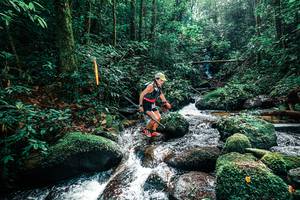 BIB: 
                            <button type="button" onclick="openModal(25244570)" class="btn btn-primary btn-sm float-right btn-popup" data-toggle="modal" data-target=".modal-high-quality">
                        <i class="fas fa-shopping-cart"></i> Add to Cart
                    </button>
                                            <button type="button" onclick="isThisMe(25244570, true)" class="btn btn-success btn-sm float-right btn-popup btn-isme hidden" data-toggle="tooltip" data-placement="bottom" title="นี่คือรูปของคุณใช่ไหม คลิกที่นี่เพื่อเอาเข้าอัลบั้ม">
                        <i class="fas fa-plus"></i> Add to album
                    </button>
                    <button type="button" onclick="isThisMe(25244570, false)" class="btn btn-warning btn-sm float-right btn-popup btn-isnotme hidden">
                        <i class="fas fa-ban"></i> Remove from album
                    </button>