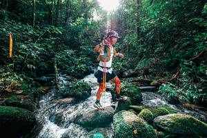 BIB: 
                            <button type="button" onclick="openModal(25244763)" class="btn btn-primary btn-sm float-right btn-popup" data-toggle="modal" data-target=".modal-high-quality">
                        <i class="fas fa-shopping-cart"></i> Add to Cart
                    </button>
                                            <button type="button" onclick="isThisMe(25244763, true)" class="btn btn-success btn-sm float-right btn-popup btn-isme hidden" data-toggle="tooltip" data-placement="bottom" title="นี่คือรูปของคุณใช่ไหม คลิกที่นี่เพื่อเอาเข้าอัลบั้ม">
                        <i class="fas fa-plus"></i> Add to album
                    </button>
                    <button type="button" onclick="isThisMe(25244763, false)" class="btn btn-warning btn-sm float-right btn-popup btn-isnotme hidden">
                        <i class="fas fa-ban"></i> Remove from album
                    </button>