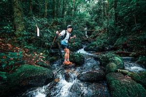 BIB: 
                            <button type="button" onclick="openModal(25246083)" class="btn btn-primary btn-sm float-right btn-popup" data-toggle="modal" data-target=".modal-high-quality">
                        <i class="fas fa-shopping-cart"></i> Add to Cart
                    </button>
                                            <button type="button" onclick="isThisMe(25246083, true)" class="btn btn-success btn-sm float-right btn-popup btn-isme hidden" data-toggle="tooltip" data-placement="bottom" title="นี่คือรูปของคุณใช่ไหม คลิกที่นี่เพื่อเอาเข้าอัลบั้ม">
                        <i class="fas fa-plus"></i> Add to album
                    </button>
                    <button type="button" onclick="isThisMe(25246083, false)" class="btn btn-warning btn-sm float-right btn-popup btn-isnotme hidden">
                        <i class="fas fa-ban"></i> Remove from album
                    </button>