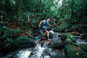 BIB: 
                            <button type="button" onclick="openModal(25244821)" class="btn btn-primary btn-sm float-right btn-popup" data-toggle="modal" data-target=".modal-high-quality">
                        <i class="fas fa-shopping-cart"></i> Add to Cart
                    </button>
                                            <button type="button" onclick="isThisMe(25244821, true)" class="btn btn-success btn-sm float-right btn-popup btn-isme hidden" data-toggle="tooltip" data-placement="bottom" title="นี่คือรูปของคุณใช่ไหม คลิกที่นี่เพื่อเอาเข้าอัลบั้ม">
                        <i class="fas fa-plus"></i> Add to album
                    </button>
                    <button type="button" onclick="isThisMe(25244821, false)" class="btn btn-warning btn-sm float-right btn-popup btn-isnotme hidden">
                        <i class="fas fa-ban"></i> Remove from album
                    </button>