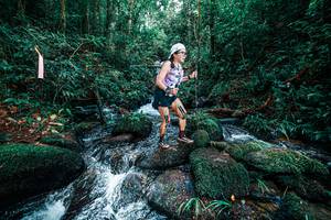 BIB: 
                            <button type="button" onclick="openModal(25246075)" class="btn btn-primary btn-sm float-right btn-popup" data-toggle="modal" data-target=".modal-high-quality">
                        <i class="fas fa-shopping-cart"></i> Add to Cart
                    </button>
                                            <button type="button" onclick="isThisMe(25246075, true)" class="btn btn-success btn-sm float-right btn-popup btn-isme hidden" data-toggle="tooltip" data-placement="bottom" title="นี่คือรูปของคุณใช่ไหม คลิกที่นี่เพื่อเอาเข้าอัลบั้ม">
                        <i class="fas fa-plus"></i> Add to album
                    </button>
                    <button type="button" onclick="isThisMe(25246075, false)" class="btn btn-warning btn-sm float-right btn-popup btn-isnotme hidden">
                        <i class="fas fa-ban"></i> Remove from album
                    </button>