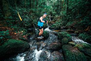 BIB: 
                            <button type="button" onclick="openModal(25246899)" class="btn btn-primary btn-sm float-right btn-popup" data-toggle="modal" data-target=".modal-high-quality">
                        <i class="fas fa-shopping-cart"></i> Add to Cart
                    </button>
                                            <button type="button" onclick="isThisMe(25246899, true)" class="btn btn-success btn-sm float-right btn-popup btn-isme hidden" data-toggle="tooltip" data-placement="bottom" title="นี่คือรูปของคุณใช่ไหม คลิกที่นี่เพื่อเอาเข้าอัลบั้ม">
                        <i class="fas fa-plus"></i> Add to album
                    </button>
                    <button type="button" onclick="isThisMe(25246899, false)" class="btn btn-warning btn-sm float-right btn-popup btn-isnotme hidden">
                        <i class="fas fa-ban"></i> Remove from album
                    </button>