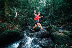 BIB: 
                            <button type="button" onclick="openModal(25245868)" class="btn btn-primary btn-sm float-right btn-popup" data-toggle="modal" data-target=".modal-high-quality">
                        <i class="fas fa-shopping-cart"></i> Add to Cart
                    </button>
                                            <button type="button" onclick="isThisMe(25245868, true)" class="btn btn-success btn-sm float-right btn-popup btn-isme hidden" data-toggle="tooltip" data-placement="bottom" title="นี่คือรูปของคุณใช่ไหม คลิกที่นี่เพื่อเอาเข้าอัลบั้ม">
                        <i class="fas fa-plus"></i> Add to album
                    </button>
                    <button type="button" onclick="isThisMe(25245868, false)" class="btn btn-warning btn-sm float-right btn-popup btn-isnotme hidden">
                        <i class="fas fa-ban"></i> Remove from album
                    </button>