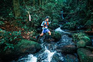 BIB: 
                            <button type="button" onclick="openModal(25247380)" class="btn btn-primary btn-sm float-right btn-popup" data-toggle="modal" data-target=".modal-high-quality">
                        <i class="fas fa-shopping-cart"></i> Add to Cart
                    </button>
                                            <button type="button" onclick="isThisMe(25247380, true)" class="btn btn-success btn-sm float-right btn-popup btn-isme hidden" data-toggle="tooltip" data-placement="bottom" title="นี่คือรูปของคุณใช่ไหม คลิกที่นี่เพื่อเอาเข้าอัลบั้ม">
                        <i class="fas fa-plus"></i> Add to album
                    </button>
                    <button type="button" onclick="isThisMe(25247380, false)" class="btn btn-warning btn-sm float-right btn-popup btn-isnotme hidden">
                        <i class="fas fa-ban"></i> Remove from album
                    </button>