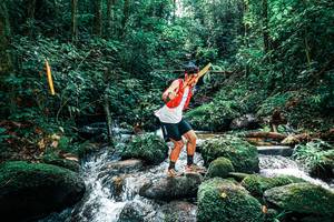 BIB: 
                            <button type="button" onclick="openModal(25244481)" class="btn btn-primary btn-sm float-right btn-popup" data-toggle="modal" data-target=".modal-high-quality">
                        <i class="fas fa-shopping-cart"></i> Add to Cart
                    </button>
                                            <button type="button" onclick="isThisMe(25244481, true)" class="btn btn-success btn-sm float-right btn-popup btn-isme hidden" data-toggle="tooltip" data-placement="bottom" title="นี่คือรูปของคุณใช่ไหม คลิกที่นี่เพื่อเอาเข้าอัลบั้ม">
                        <i class="fas fa-plus"></i> Add to album
                    </button>
                    <button type="button" onclick="isThisMe(25244481, false)" class="btn btn-warning btn-sm float-right btn-popup btn-isnotme hidden">
                        <i class="fas fa-ban"></i> Remove from album
                    </button>