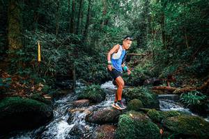 BIB: 
                            <button type="button" onclick="openModal(25244462)" class="btn btn-primary btn-sm float-right btn-popup" data-toggle="modal" data-target=".modal-high-quality">
                        <i class="fas fa-shopping-cart"></i> Add to Cart
                    </button>
                                            <button type="button" onclick="isThisMe(25244462, true)" class="btn btn-success btn-sm float-right btn-popup btn-isme hidden" data-toggle="tooltip" data-placement="bottom" title="นี่คือรูปของคุณใช่ไหม คลิกที่นี่เพื่อเอาเข้าอัลบั้ม">
                        <i class="fas fa-plus"></i> Add to album
                    </button>
                    <button type="button" onclick="isThisMe(25244462, false)" class="btn btn-warning btn-sm float-right btn-popup btn-isnotme hidden">
                        <i class="fas fa-ban"></i> Remove from album
                    </button>