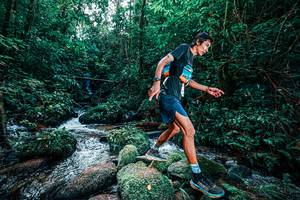 BIB: 
                            <button type="button" onclick="openModal(25244866)" class="btn btn-primary btn-sm float-right btn-popup" data-toggle="modal" data-target=".modal-high-quality">
                        <i class="fas fa-shopping-cart"></i> Add to Cart
                    </button>
                                            <button type="button" onclick="isThisMe(25244866, true)" class="btn btn-success btn-sm float-right btn-popup btn-isme hidden" data-toggle="tooltip" data-placement="bottom" title="นี่คือรูปของคุณใช่ไหม คลิกที่นี่เพื่อเอาเข้าอัลบั้ม">
                        <i class="fas fa-plus"></i> Add to album
                    </button>
                    <button type="button" onclick="isThisMe(25244866, false)" class="btn btn-warning btn-sm float-right btn-popup btn-isnotme hidden">
                        <i class="fas fa-ban"></i> Remove from album
                    </button>