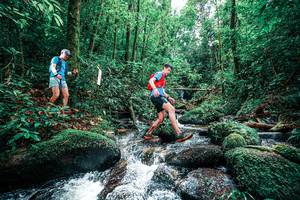 BIB: 
                            <button type="button" onclick="openModal(25245171)" class="btn btn-primary btn-sm float-right btn-popup" data-toggle="modal" data-target=".modal-high-quality">
                        <i class="fas fa-shopping-cart"></i> Add to Cart
                    </button>
                                            <button type="button" onclick="isThisMe(25245171, true)" class="btn btn-success btn-sm float-right btn-popup btn-isme hidden" data-toggle="tooltip" data-placement="bottom" title="นี่คือรูปของคุณใช่ไหม คลิกที่นี่เพื่อเอาเข้าอัลบั้ม">
                        <i class="fas fa-plus"></i> Add to album
                    </button>
                    <button type="button" onclick="isThisMe(25245171, false)" class="btn btn-warning btn-sm float-right btn-popup btn-isnotme hidden">
                        <i class="fas fa-ban"></i> Remove from album
                    </button>