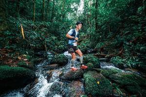 BIB: 
                            <button type="button" onclick="openModal(25244824)" class="btn btn-primary btn-sm float-right btn-popup" data-toggle="modal" data-target=".modal-high-quality">
                        <i class="fas fa-shopping-cart"></i> Add to Cart
                    </button>
                                            <button type="button" onclick="isThisMe(25244824, true)" class="btn btn-success btn-sm float-right btn-popup btn-isme hidden" data-toggle="tooltip" data-placement="bottom" title="นี่คือรูปของคุณใช่ไหม คลิกที่นี่เพื่อเอาเข้าอัลบั้ม">
                        <i class="fas fa-plus"></i> Add to album
                    </button>
                    <button type="button" onclick="isThisMe(25244824, false)" class="btn btn-warning btn-sm float-right btn-popup btn-isnotme hidden">
                        <i class="fas fa-ban"></i> Remove from album
                    </button>