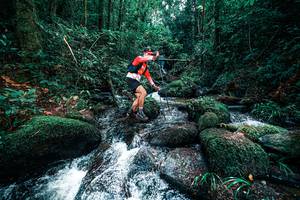 BIB: 
                            <button type="button" onclick="openModal(25246502)" class="btn btn-primary btn-sm float-right btn-popup" data-toggle="modal" data-target=".modal-high-quality">
                        <i class="fas fa-shopping-cart"></i> Add to Cart
                    </button>
                                            <button type="button" onclick="isThisMe(25246502, true)" class="btn btn-success btn-sm float-right btn-popup btn-isme hidden" data-toggle="tooltip" data-placement="bottom" title="นี่คือรูปของคุณใช่ไหม คลิกที่นี่เพื่อเอาเข้าอัลบั้ม">
                        <i class="fas fa-plus"></i> Add to album
                    </button>
                    <button type="button" onclick="isThisMe(25246502, false)" class="btn btn-warning btn-sm float-right btn-popup btn-isnotme hidden">
                        <i class="fas fa-ban"></i> Remove from album
                    </button>