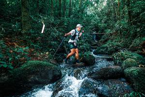 BIB: 
                            <button type="button" onclick="openModal(25246371)" class="btn btn-primary btn-sm float-right btn-popup" data-toggle="modal" data-target=".modal-high-quality">
                        <i class="fas fa-shopping-cart"></i> Add to Cart
                    </button>
                                            <button type="button" onclick="isThisMe(25246371, true)" class="btn btn-success btn-sm float-right btn-popup btn-isme hidden" data-toggle="tooltip" data-placement="bottom" title="นี่คือรูปของคุณใช่ไหม คลิกที่นี่เพื่อเอาเข้าอัลบั้ม">
                        <i class="fas fa-plus"></i> Add to album
                    </button>
                    <button type="button" onclick="isThisMe(25246371, false)" class="btn btn-warning btn-sm float-right btn-popup btn-isnotme hidden">
                        <i class="fas fa-ban"></i> Remove from album
                    </button>