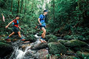 BIB: 
                            <button type="button" onclick="openModal(25245429)" class="btn btn-primary btn-sm float-right btn-popup" data-toggle="modal" data-target=".modal-high-quality">
                        <i class="fas fa-shopping-cart"></i> Add to Cart
                    </button>
                                            <button type="button" onclick="isThisMe(25245429, true)" class="btn btn-success btn-sm float-right btn-popup btn-isme hidden" data-toggle="tooltip" data-placement="bottom" title="นี่คือรูปของคุณใช่ไหม คลิกที่นี่เพื่อเอาเข้าอัลบั้ม">
                        <i class="fas fa-plus"></i> Add to album
                    </button>
                    <button type="button" onclick="isThisMe(25245429, false)" class="btn btn-warning btn-sm float-right btn-popup btn-isnotme hidden">
                        <i class="fas fa-ban"></i> Remove from album
                    </button>